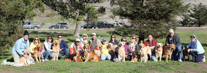 SLO County Golden Retrievers